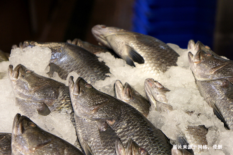 巴布亞新幾內(nèi)亞到廣州鱸魚進口報關(guān)流程冷凍魚案例